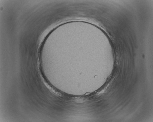 X0000067841511200605111629