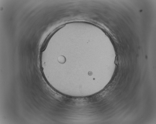 X0000067841512200605111629