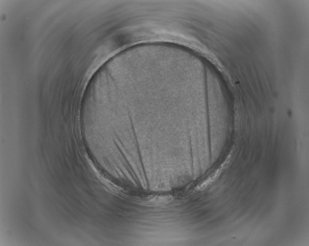 X0000067841513200605111629