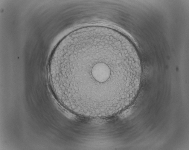 X0000067841514200605111629