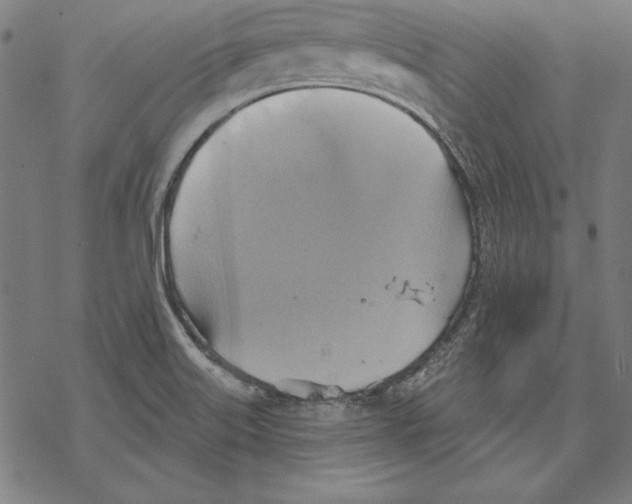 X0000067841515200605111629