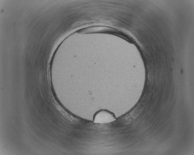 X0000067841516200605111629