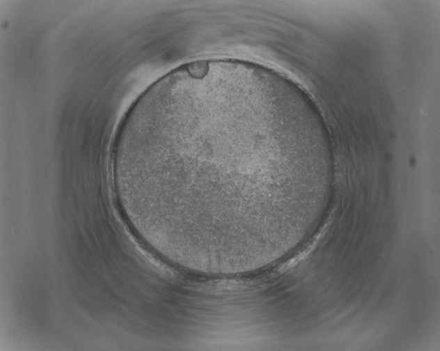 X0000067841517200605111629