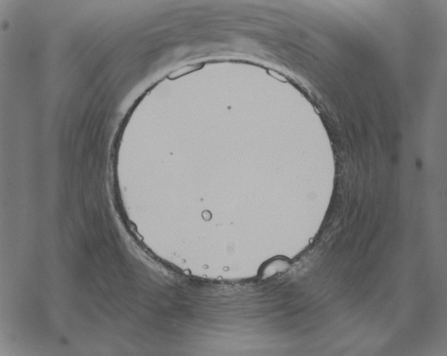 X0000067841518200605111629