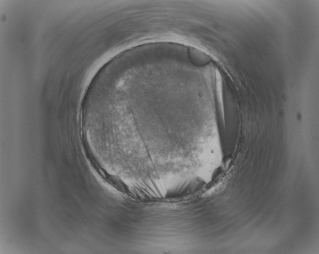 X0000067841519200605111629