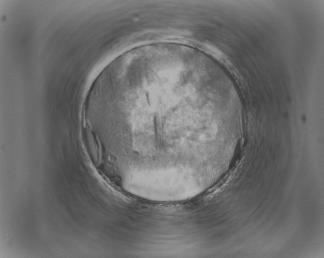 X0000067841520200605111629