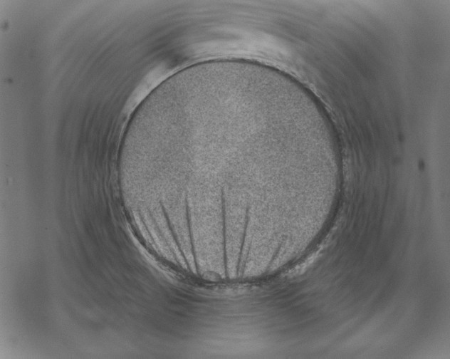 X0000067841521200605111629