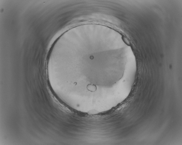 X0000067841522200605111629