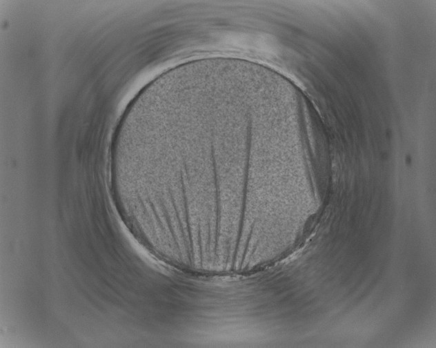 X0000067841523200605111629