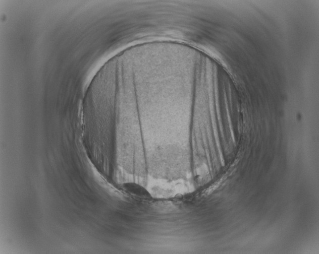 X0000067841524200605111629