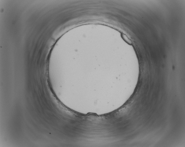 X0000067841526200605111629