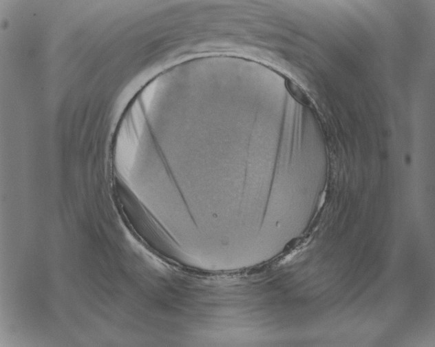 X0000067841527200605111629