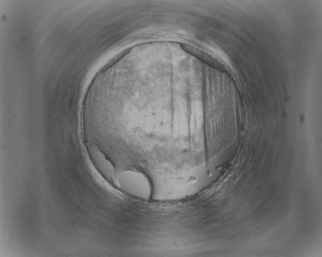 X0000067841528200605111629