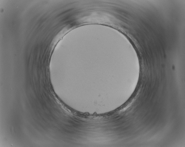 X0000067841529200605111629