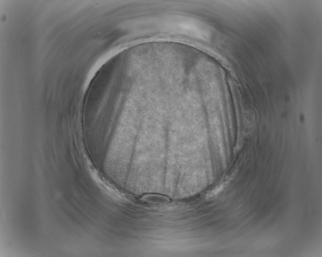 X0000067841530200605111629