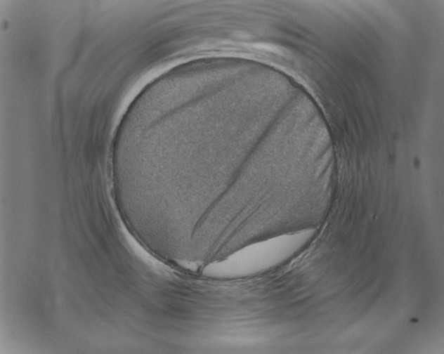 X0000067841531200605111629