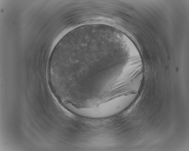 X0000067841533200605111629