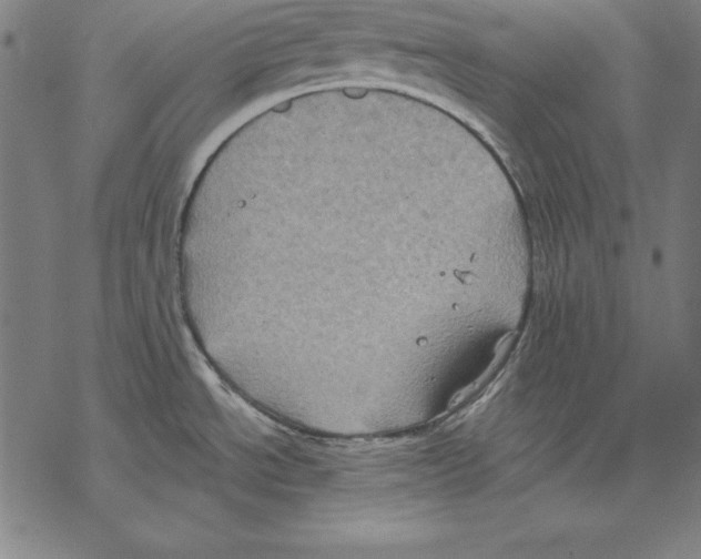 X0000067841534200605111629