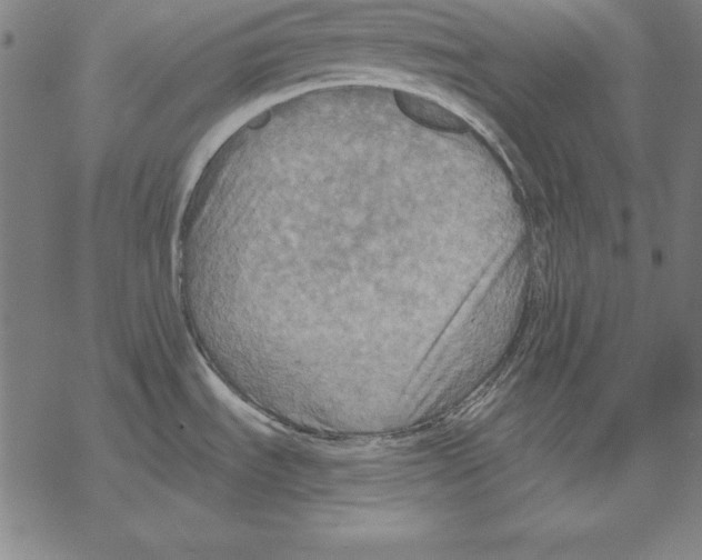 X0000067841535200605111629