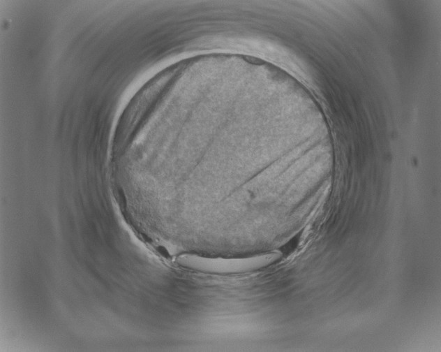 X0000067841536200605111629