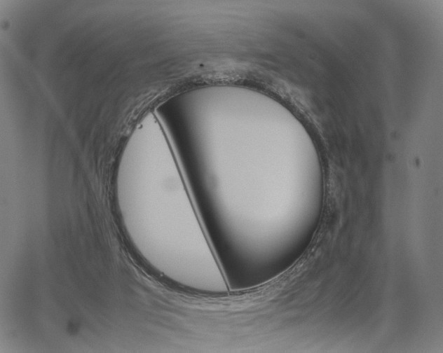 X0000067850017200604130931