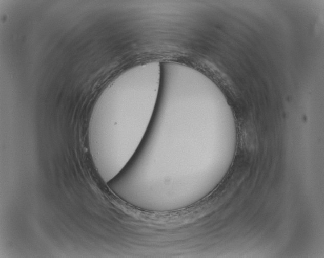 X0000067850026200604130930