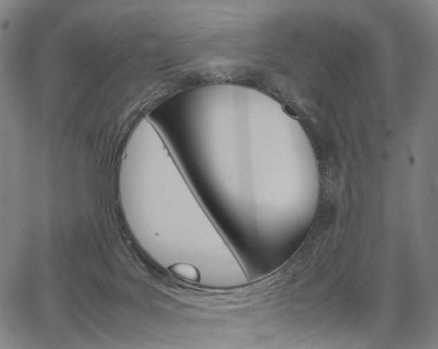 X0000067850027200604130930