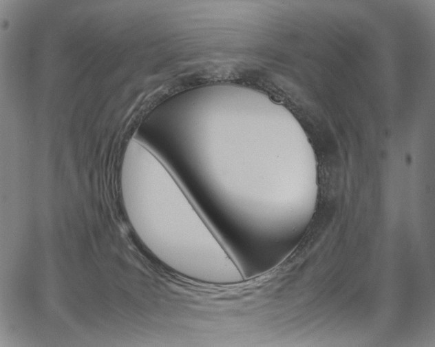 X0000067850035200604130930