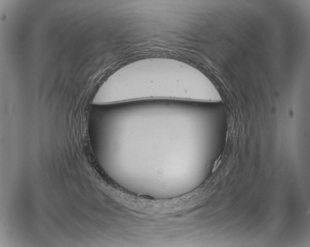 X0000067850043200604130930