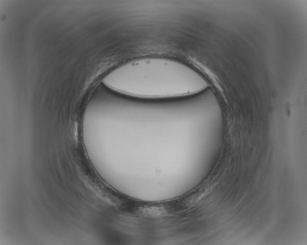 X0000067850067200604130930