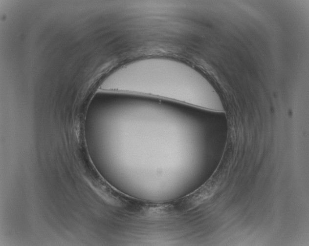 X0000067850072200604130930