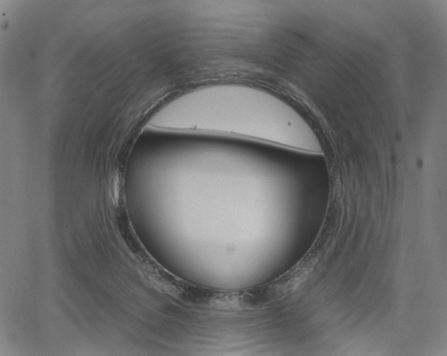 X0000067850076200604130930