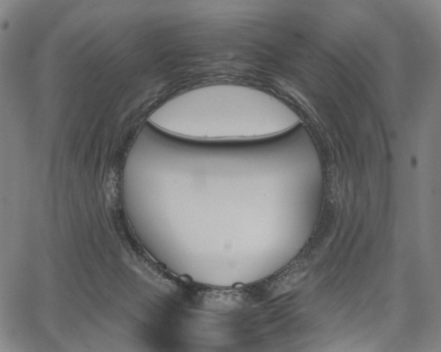 X0000067850077200604130930