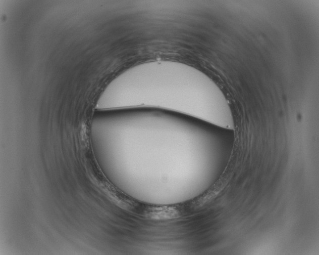 X0000067850087200604130930