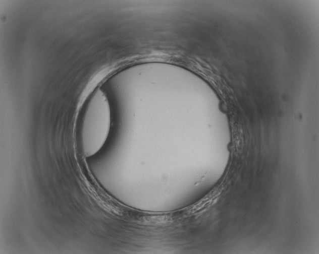X0000067850102200604130929