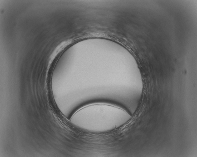X0000067850104200604130929