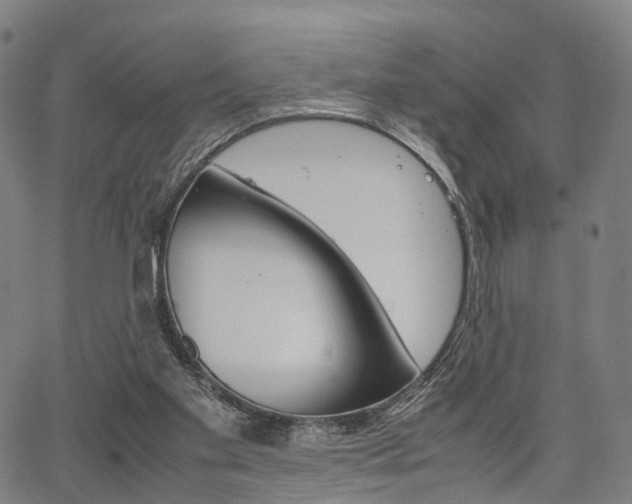 X0000067850109200604130929