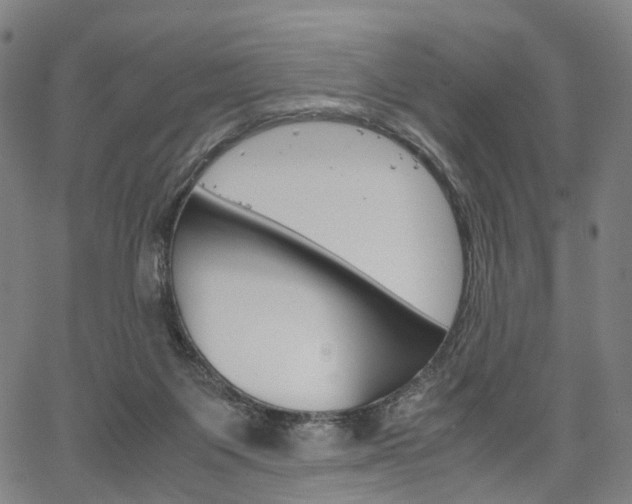 X0000067850119200604130929