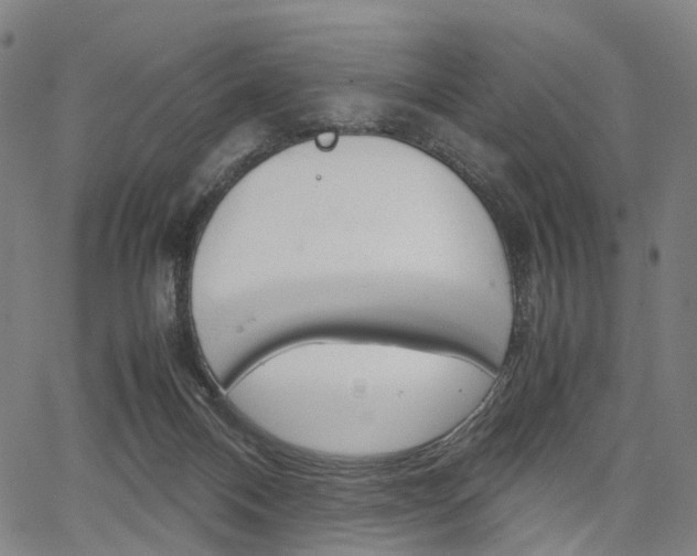 X0000067850120200604130929