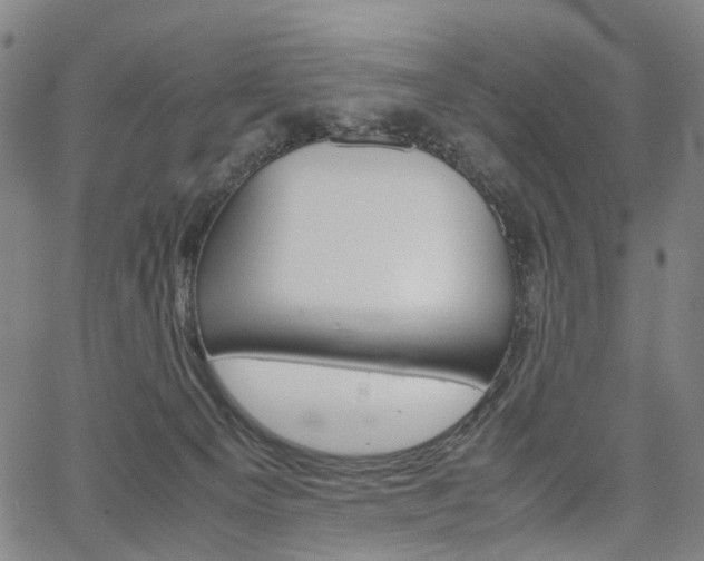 X0000067850129200604130929