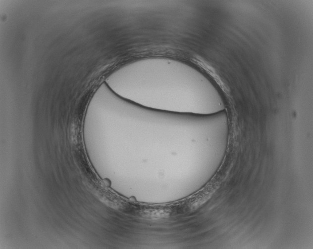 X0000067850161200604130928