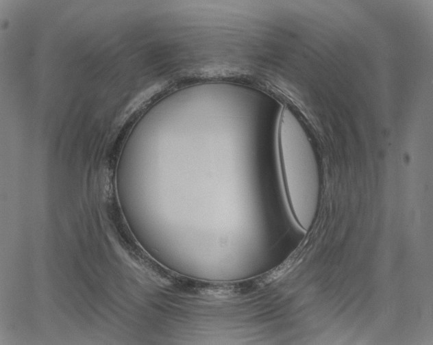 X0000067850164200604130928