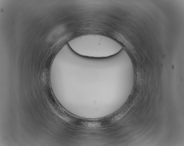 X0000067850165200604130928