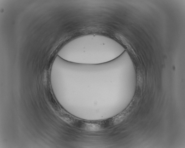X0000067850167200604130928
