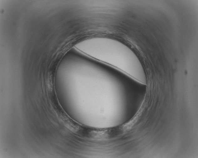X0000067850170200604130928