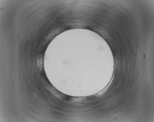 X0000067850190200604130928