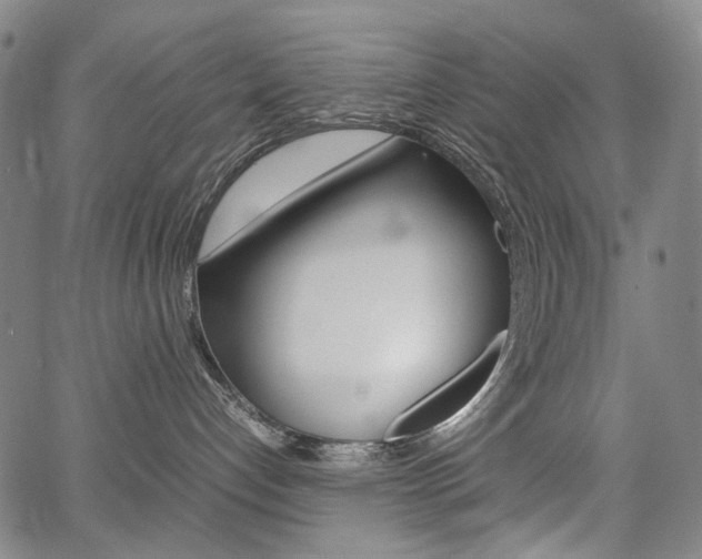 X0000067850192200604130929