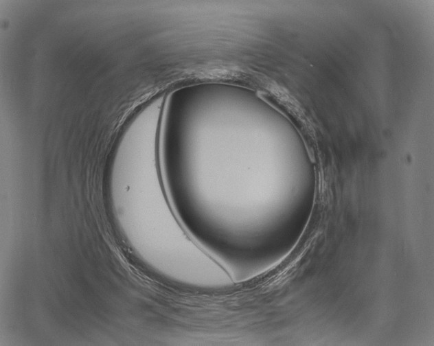 X0000067850201200604130928