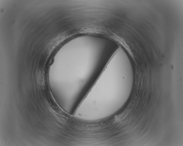 X0000067850204200604130928