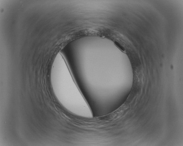 X0000067850223200604130927